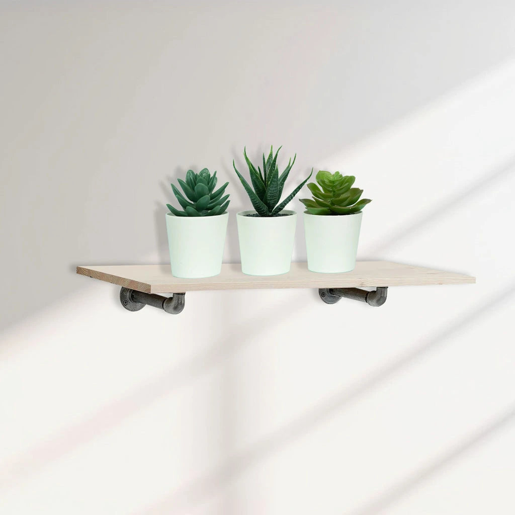 urb.style Willy elegantes Wandregal mit drei Pflanzen und Wanschatte des Fensters